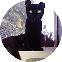 Szempilla tanfolyam 54 Csilla Ható profile picture